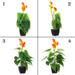 Beebel Artificial Flower Plants Calla Lily Faux Small Potted Plant with Black Po... - Image 6