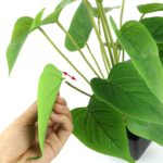 Beebel Artificial Flower Plants Calla Lily Faux Small Potted Plant with Black Po... - Image 7