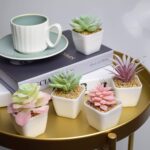 Tiita Artificial Faux Succulents in Pots Fake Plants Plastic Arrangement Planter... - Image 4
