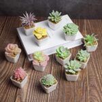 Tiita Artificial Faux Succulents in Pots Fake Plants Plastic Arrangement Planter... - Image 5