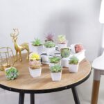 Tiita Artificial Faux Succulents in Pots Fake Plants Plastic Arrangement Planter... - Image 7