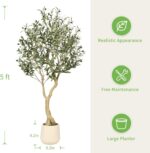 Realead Olive Trees Artificial Indoor - 5FT Faux Olive Tree with White Tall Exqu... - Image 4