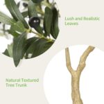 Realead Olive Trees Artificial Indoor - 5FT Faux Olive Tree with White Tall Exqu... - Image 5