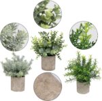 Flojery Mini Potted Plants Artificial Eucalyptus Boxwood Rosemary Faux Herbs Sma... - Image 4
