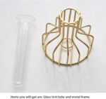 2 Pcs Gold Flower Vase with Metal Frame, Clear Glass Test Tube Vases Decorative,... - Image 4