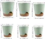 YNNICO Indoor Self Watering Planters with Drainage Holes and Saucers, 8, 7, 6.5,... - Image 5