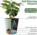 YNNICO Indoor Self Watering Planters with Drainage Holes and Saucers, 8, 7, 6.5,... - Image 6