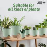 YNNICO Indoor Self Watering Planters with Drainage Holes and Saucers, 8, 7, 6.5,... - Image 8