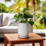 Deep Dream 8 Inch Ceramic Pots for Plants, Heavy Plant Pot for Indoor Outdoor Pl... - Image 3