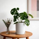 Deep Dream 8 Inch Ceramic Pots for Plants, Heavy Plant Pot for Indoor Outdoor Pl... - Image 4