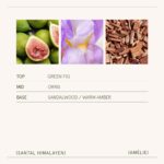LA JOLIE MUSE Santal Himalayen Candle, Amber Scented Candles Gifts for Women, Na... - Image 5