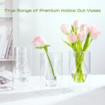 ZENS Clear Glass Bubble Flower Vase, Modern Hand Blown Hollowed Out Glass Vase f... - Image 5