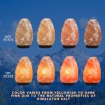 7 Inch Himalayan Salt Lamp with Dimmer Cord - Night Light Natural Crystal Rock C... - Image 4