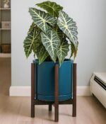 D'vine Dev Ceramic Planter with Walnut Color Stand - 12 Inch Modern Round Flower... - Image 5