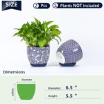 Selamica Ceramica Plant Pots, 6.5 Inch Flower Pots Set of 2 with Drainage Holes ... - Image 4