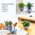 Selamica Ceramica Plant Pots, 6.5 Inch Flower Pots Set of 2 with Drainage Holes ... - Image 6