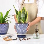 Selamica Ceramica Plant Pots, 6.5 Inch Flower Pots Set of 2 with Drainage Holes ... - Image 7
