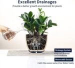Selamica Ceramica Plant Pots, 6.5 Inch Flower Pots Set of 2 with Drainage Holes ... - Image 8