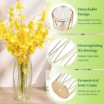 Gold Modern Flower Vases for Centerpieces – Hewory 11Inch Glass Vase with Metal ... - Image 6