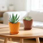 YNNICO 4 inch Plant Pots, 6 Pack Flower Pots Outdoor Indoor, Planters with Drain... - Image 6