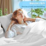 SONORO KATE 100% Egyptian Cotton Sheets Set - 1000 High Thread Count, Luxury 5-S... - Image 5