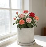 Ekirlin 7 Inch Flower Plant Pot Indoor, Natural Grey Cement Planters Concrete Pl... - Image 3