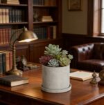 Ekirlin 7 Inch Flower Plant Pot Indoor, Natural Grey Cement Planters Concrete Pl... - Image 6