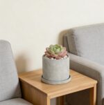 Ekirlin 7 Inch Flower Plant Pot Indoor, Natural Grey Cement Planters Concrete Pl... - Image 7