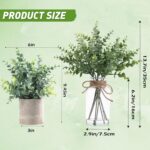 Coferset Eucalyptus Stems in Glass Vase with Faux Water, 14" Eucalyptus Fake Pla... - Image 5