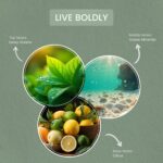 Carolina Live Boldly 16 oz Scented Candle, 2 Wick Wellness Relaxing Candle, 60H ... - Image 3