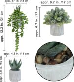 Winlyn Set of 3 Mini Artificial Succulent Plants Potted Small Fake Aloe Hops Str... - Image 3