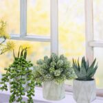 Winlyn Set of 3 Mini Artificial Succulent Plants Potted Small Fake Aloe Hops Str... - Image 8