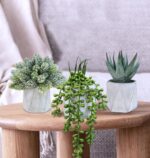 Winlyn Set of 3 Mini Artificial Succulent Plants Potted Small Fake Aloe Hops Str... - Image 9