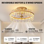CROSSIO 20" Crystal Ceiling Fans with Lights Remote Control Dimmable 6 Speeds Re... - Image 5