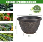 4 Pack 10 Inch Plant Pots with Drainage Holes and Saucers, Antique Gold Firework... - Image 4