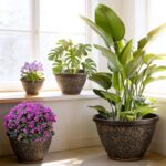 4 Pack 10 Inch Plant Pots with Drainage Holes and Saucers, Antique Gold Firework... - Image 6