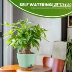 Utopia Home Self Watering Pots for Indoor Plants, Planters for Indoor Plants, Mu... - Image 8