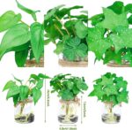 3 Pack Small Potted Plants with Faux Water, Real Touch Leaves Fake Plants in Gla... - Image 3