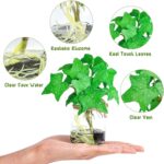 3 Pack Small Potted Plants with Faux Water, Real Touch Leaves Fake Plants in Gla... - Image 4