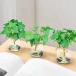 3 Pack Small Potted Plants with Faux Water, Real Touch Leaves Fake Plants in Gla... - Image 7
