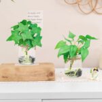 3 Pack Small Potted Plants with Faux Water, Real Touch Leaves Fake Plants in Gla... - Image 8