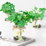 3 Pack Small Potted Plants with Faux Water, Real Touch Leaves Fake Plants in Gla... - Image 9