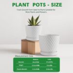 Docrin Ceramic Plant Pots Set of 2 (6.6"+5.5"), High-Fired Clay Indoor Planters ... - Image 4