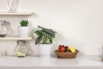 Docrin Ceramic Plant Pots Set of 2 (6.6"+5.5"), High-Fired Clay Indoor Planters ... - Image 5