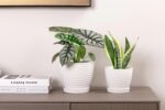Docrin Ceramic Plant Pots Set of 2 (6.6"+5.5"), High-Fired Clay Indoor Planters ... - Image 6