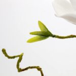 DILATATA Faux Flowers in Vase 15.4" Magnolias Flowers Arrangement with Faux Wate... - Image 4