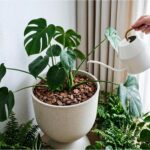 KOL Planters Flower Pots, Large Plastic Urn Planters for Indoor Outdoor Plants, ... - Image 6