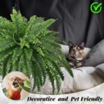 FOREST PRINCE 45" Fake Ferns, Realistic Large Artificial Bush Plants, 2 Artifici... - Image 4