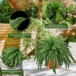 FOREST PRINCE 45" Fake Ferns, Realistic Large Artificial Bush Plants, 2 Artifici... - Image 6