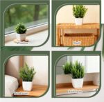 SHENLIU 12 Pot Small Fake Plant, Mini Faux Flowerpot Artificial Plastic Eucalypt... - Image 4